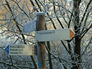 Wanderung zur Ruine Hammerstein