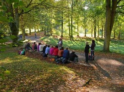 Tao des Wanderns im Siebengebirge