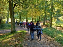 Tao des Wanderns im Siebengebirge am Rhein