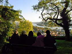 Tao des Wanderns im Siebengebirge am Rhein