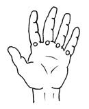 Handmassage-Anleitung Zeichnung mit den Lymphzonenpunkten zwischen den Fingern an der Hand