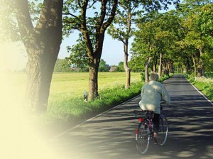 Alleenstraße auf der Insel Ummanz mit Lindenbäumen und einer älteren Radfahrerin.