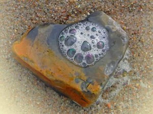 Donnerkeil mit Bernsteinfarbe und schönem Wassertropfen am Sandstrand der Ostseeküste