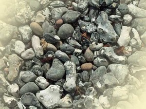 Feuersteine und Hühnergötter in verschiedenen Farben und Formen auf der Insel Rügen.