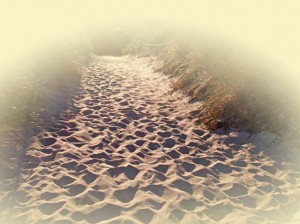 Strandzugang im Sonnenlicht mit feinem Sand und Düne auf der Insel Rügen.