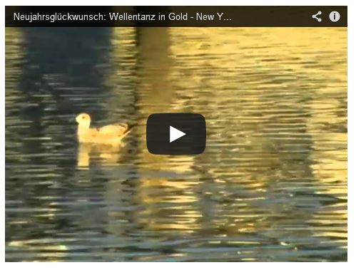 Ente schwimmt auf goldenem See