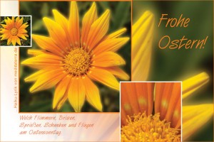 Oster-Glückwunschkarte mit gelber Ringelblume und Haiku-Gedicht / Lyrik, Frohe Ostern per E-Mail oder zum Ausdrucken!