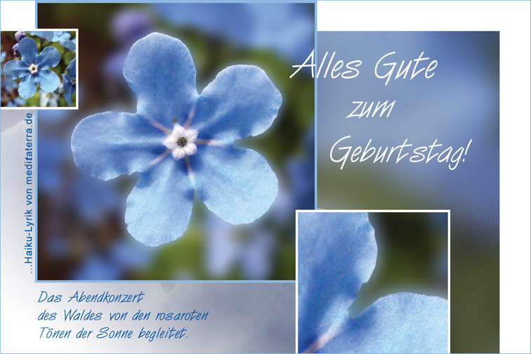 Geburtstagskarte - Glückwunsch zum Geburtstag mit Vergissmeinich-Blüte und Haiku-Gedicht, Lyrik, Alles Gute zum Geburtstag!