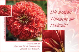 Hochzeitsgruß, Hochzeitskarte, Glückwunsch zur Hochzeit, beste Wünsche mit roter Dalie