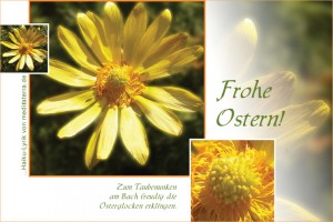 Glückwunschkarte zu Ostern mit gelber Blüte und Haiku-Gedicht / Lyrik per E-Mail oder zum Ausdrucken!