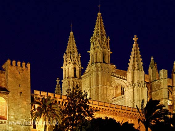 Palma de Mallorca bei Nacht mit Kathedrale La Seu