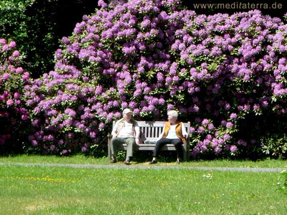 Bad Bertrich Entspannung im Kurpark