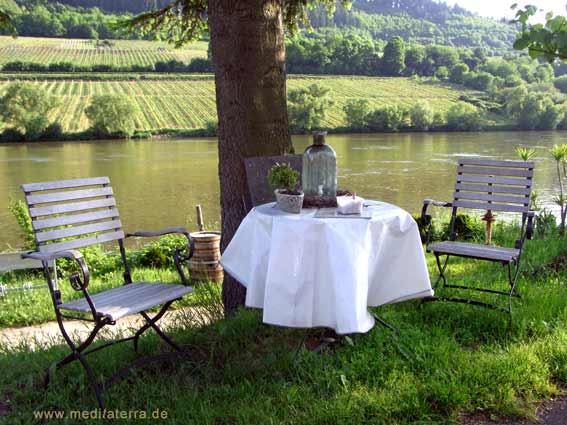 Picknick an der Mosel mit Wein