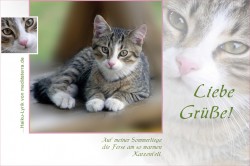 Katzenbaby, graue Tigerkatze, Liebe Grüße, Grußkarte