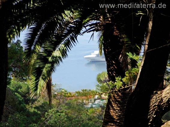 Genusstraining: Genussmeditation AchtsamkeitPalme mit blauem Meer und Schiff