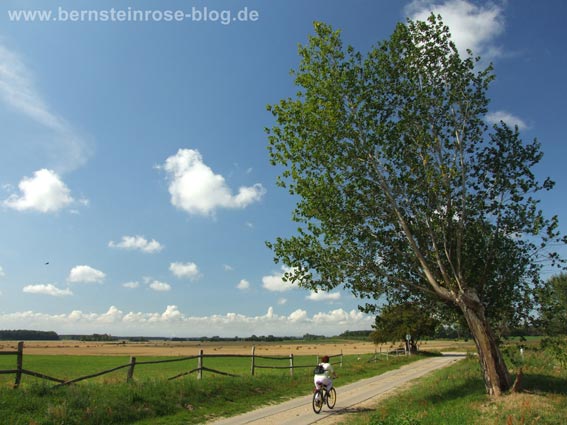 Fahrradtour unter blauem Himmel