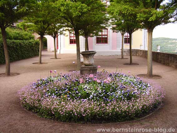 Blumenrondell im Schlossgart des mittleren Dornburger Schlosses