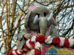 Elefantenkostüm - Karneval am Rhein - Bad Honnef 2013