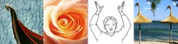 bernteinrose blog inhalt banner