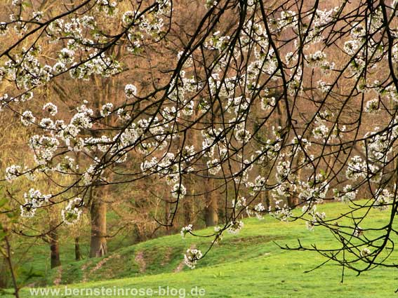 Fruehlingslandschaft Achtsamkeitstraining