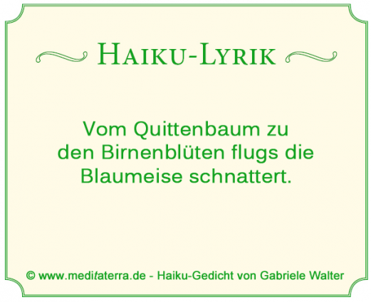 Haiku Blaumeise Birnenbaum Quittenbaum