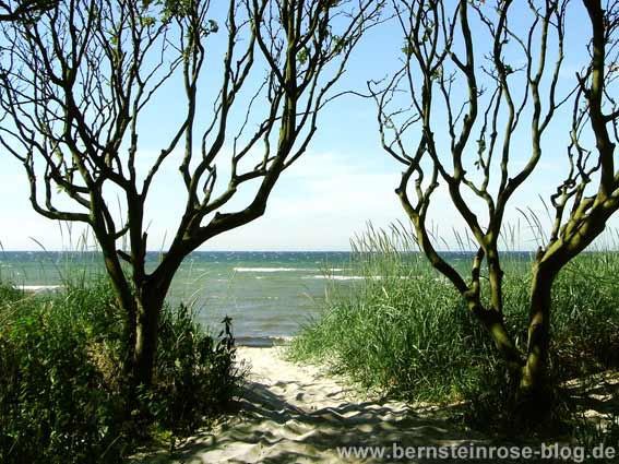 Ostsee Strandzugang auf der Insel Poel