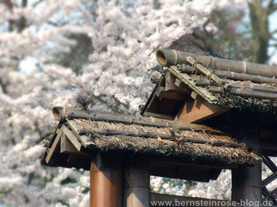 Japanischer Garten in Kaiserlautern: Baudetail mit Strohdach