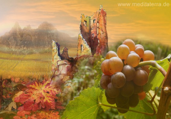 Drachenfels mit Weinbergen, Weintrauben und Weintraubenblättern - Collage aus Aquarell und Foto von Kurt Ries