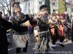 Karneval am Rhein - Umzug Bad Honnef 2013