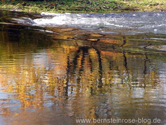 Fluß mit herbstlichem Spiegelbild, Bäume mit gelben Blättern, dahinter wasserstrudel