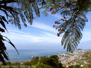 Madeira - Panoramablick auf Funchal