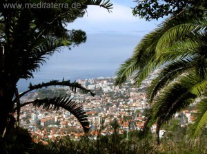 Mirador - Madeira - Blick auf Funchal