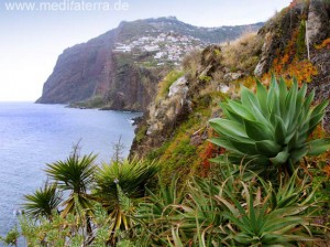 Madeira: Blick auf die Felsenküste bei Camara de Lobos