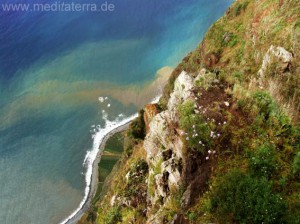 Mirador auf Madeira - Küste bei Gabo Girao