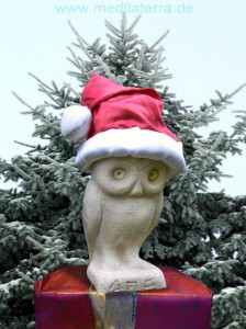 Nikolaus als Eule dargestellt mit Tannenbaum im Schnee und rotem Geschenkpaket