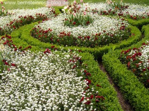 Frühlingsblumen im Rokokogarten der Dornburger Schlösser