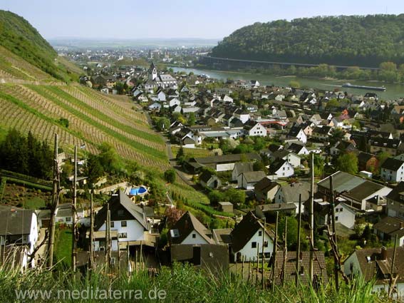 Blick auf Leutesdorf und den Rhein