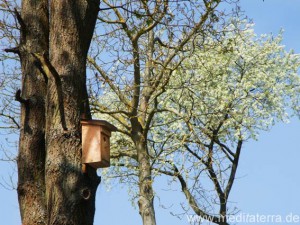 Vogelhaus an den Streuobstwiesen oberhalb von Leutesdorf am Rhein