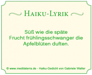 Haiku von Gabriele Walter, Apfelblütenduft, Frühling