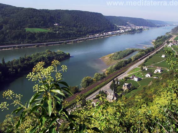 Blick von der Ruine Hammerstein auf Hammerstein und den Rhein