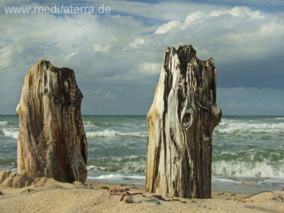 Zwei hölzerne Buhnenpfähle am Strand mit Sonne, Wolken und Meeresschaum