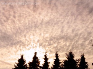 Himmel mit weißen Wolken und Tannen