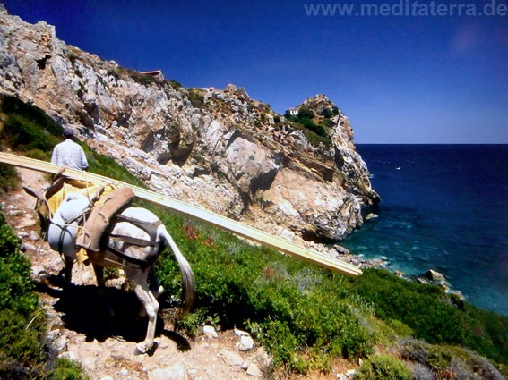 Wanderweg nach Kastro mit beladenem Esel auf der Insel Skiathos