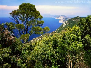Insel Skopelos: Ausblick auf Meer und Küste