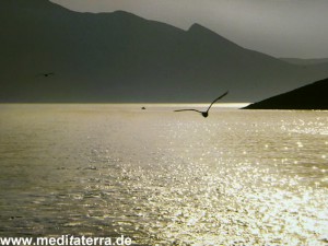 Berge, Meer und Möwe im Abendlicht bei der Überfahrt zur Insel Skiathos