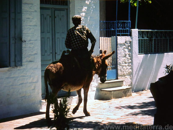 Griechenland: Pilion-Halbinsel Esel mit Reiter in Trikeri