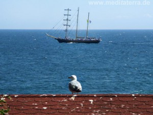 Bulgarien: Möwe auf der Halbinsel Nessebar