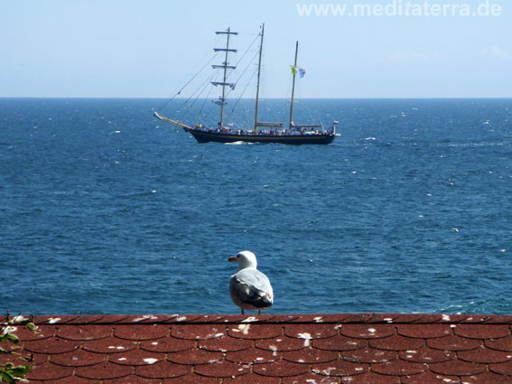 Bulgarien: Möwe auf der Halbinsel Nessebar