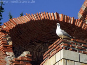 Bulgarien: byzantinische Kirchenruine in Alt-Nesserbar mit einer Möwe