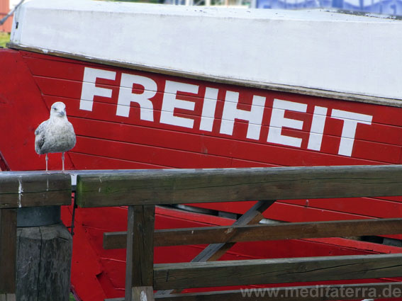 Möwe Jonathan und die Freiheit